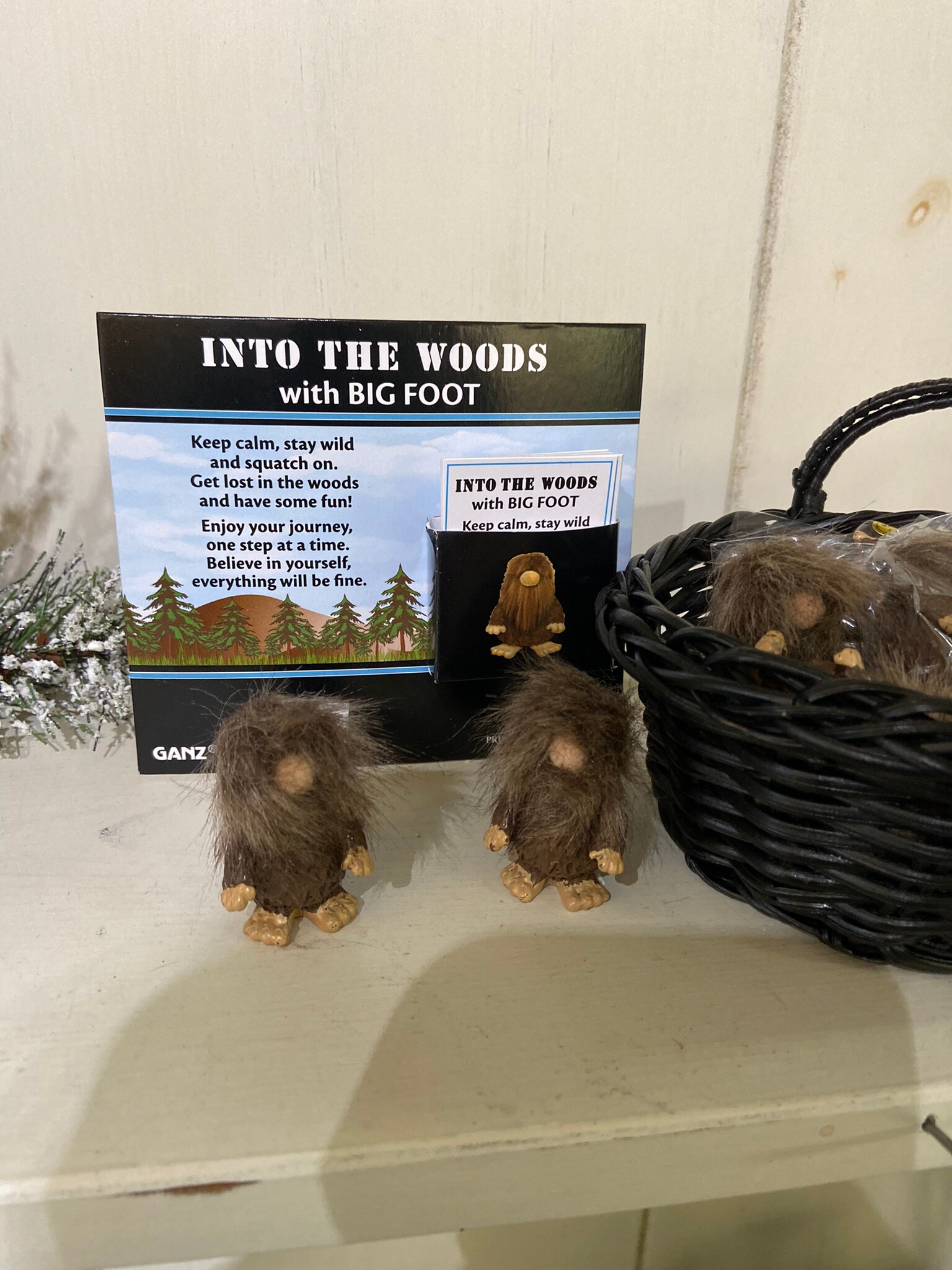 Into The Woods with Bigfoot